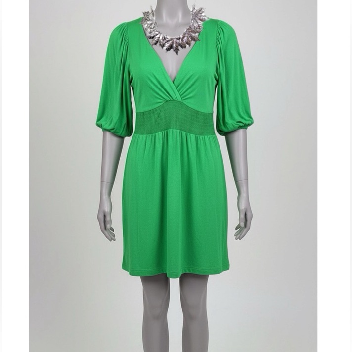 12th Street By Cynthia Vincent V Neck Dress